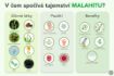 Obrázok z Malahit - hygienický a kozmetický prípravok na ošetrenie pokožky a slizníc - 30ml - Elixir
