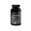 Obrázok z Čaga sibírska FORTE - 60 vegánskych kapsúl (600mg/ kapsula) - Herbatica