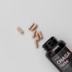 Obrázok z Čaga sibírska FORTE - 60 vegánskych kapsúl (600mg/ kapsula) - Herbatica