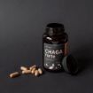 Obrázok z Čaga sibírska FORTE - 60 vegánskych kapsúl (600mg/ kapsula) - Herbatica