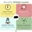 Obrázok z Zvýhodnený set: 2 x Shilajit - očistené mumio premium (500mg) - 80 kapsúl - Herbatica