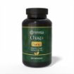 Obrázok z Čaga sibírska FORTE - 60 vegánskych kapsúl (600mg/ kapsula) - Herbatica