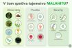 Obrázok z Malahit - hygienický a kozmetický prípravok na ošetrenie pokožky a slizníc - 30ml - Elixir