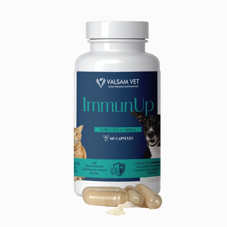 Obrázok z IMMUNUP - podpora imunity pre psy a mačky 60 kapsúl - Valsam Vet