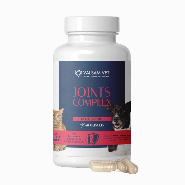 Obrázok z JOINTS COMPLEX - komplexná kĺbová výživa pre psy a mačky 60 kapsúl - Valsam Vet