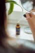 Obrázok z Opunciový 100% BIO prírodný za studena lisovaný olej 30ml - Herbatica