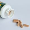 Obrázok z Fat Burner - 70 kapsúl - Herbatica