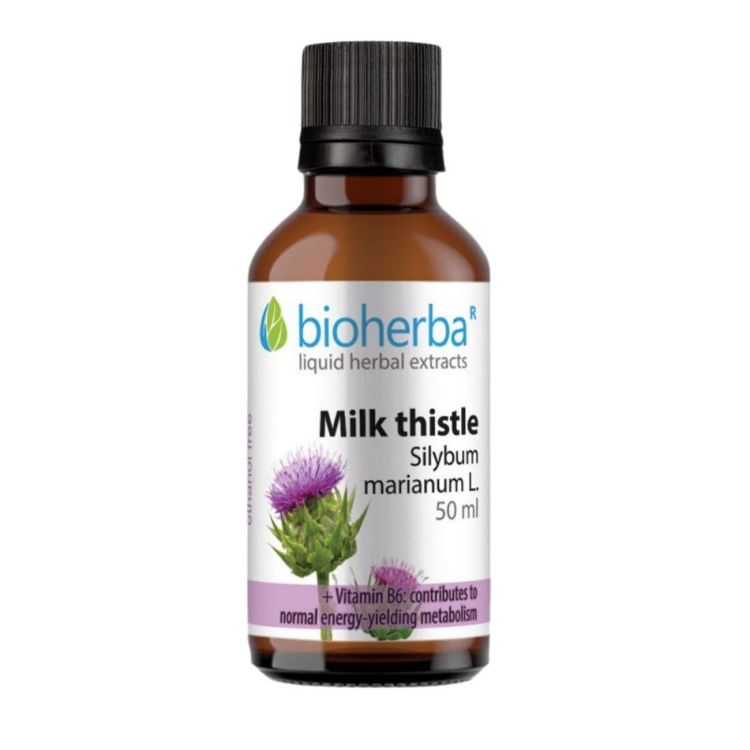 Obrázok z Pestrec mariánsky (Silybum marianum) kvapky – tinktúra – 50 ml – Bioherba