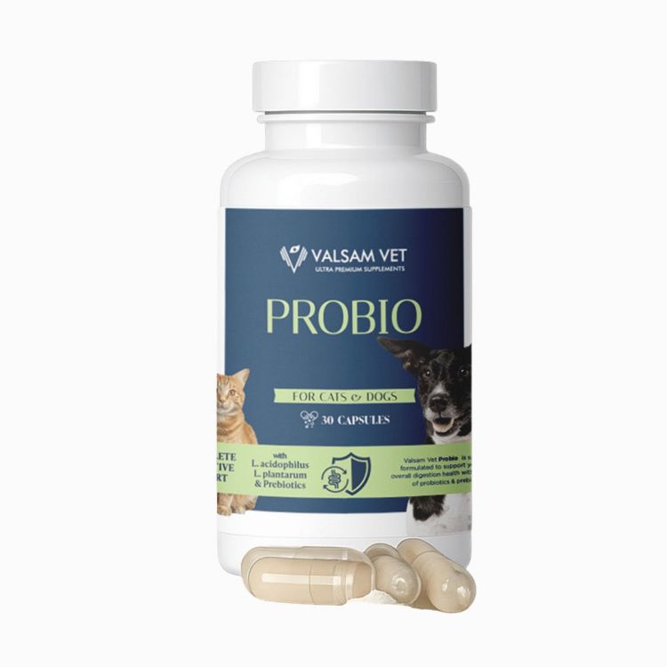 Obrázok z PROBIO - probiotiká a prebiotiká pre psy a mačky 30 kapsúl - Valsam Vet