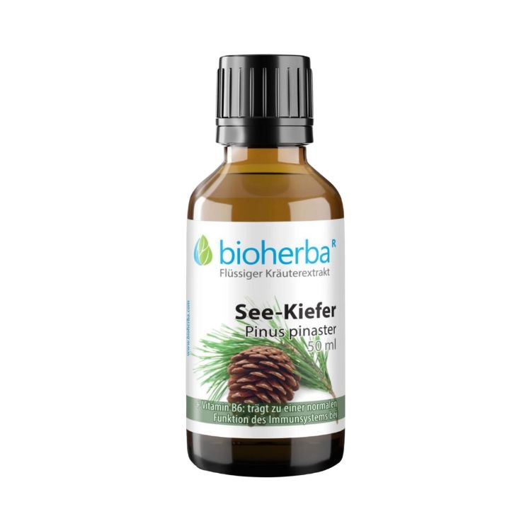 Obrázok z Borovica prímorská - tinktúra kvapky - 50 ml - Bioherba