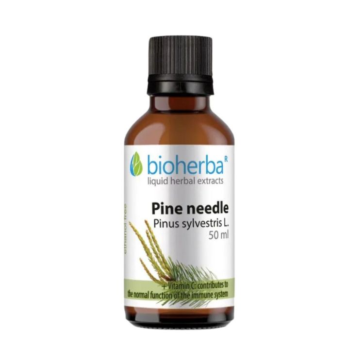 Obrázok z Borovicové výhonky - tinktúra kvapky - 50 ml - Bioherba