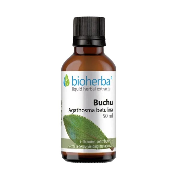 Obrázok z Buchu - tinktúra kvapky - 50 ml - Bioherba