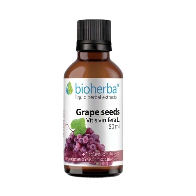 Obrázok z Hroznové jadierka - tinktúra kvapky - 50 ml - Bioherba