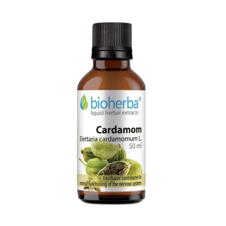 Obrázok z Kardamóm - tinktúra kvapky - 50 ml - Bioherba