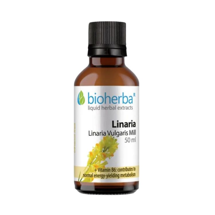 Obrázok z Ľanovník - tinktúra kvapky - 50 ml - Bioherba