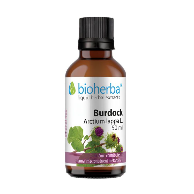 Obrázok z Lopúch väčší - tinktúra kvapky - 50 ml - Bioherba