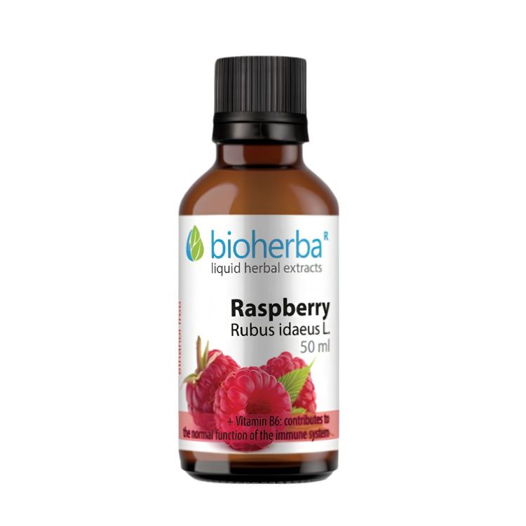 Obrázok z Malina - tinktúra kvapky - 50 ml - Bioherba