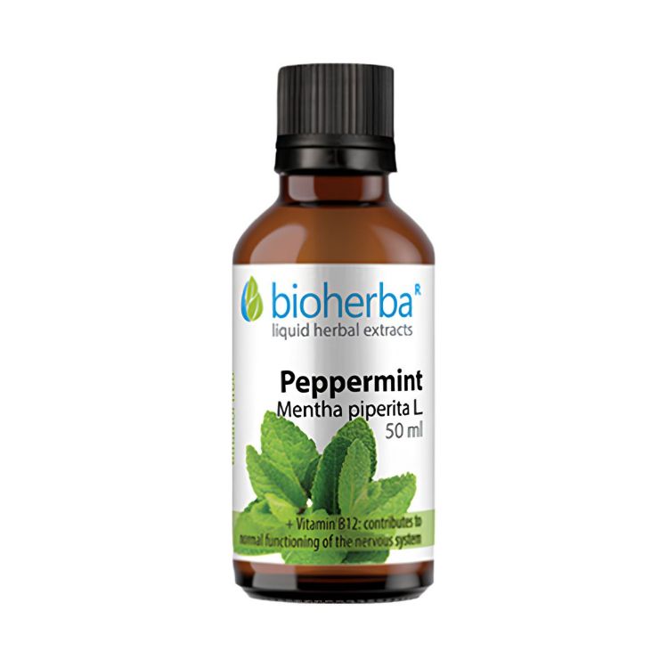 Obrázok z Mäta pieporná - tinktúra kvapky - 50 ml - Bioherba