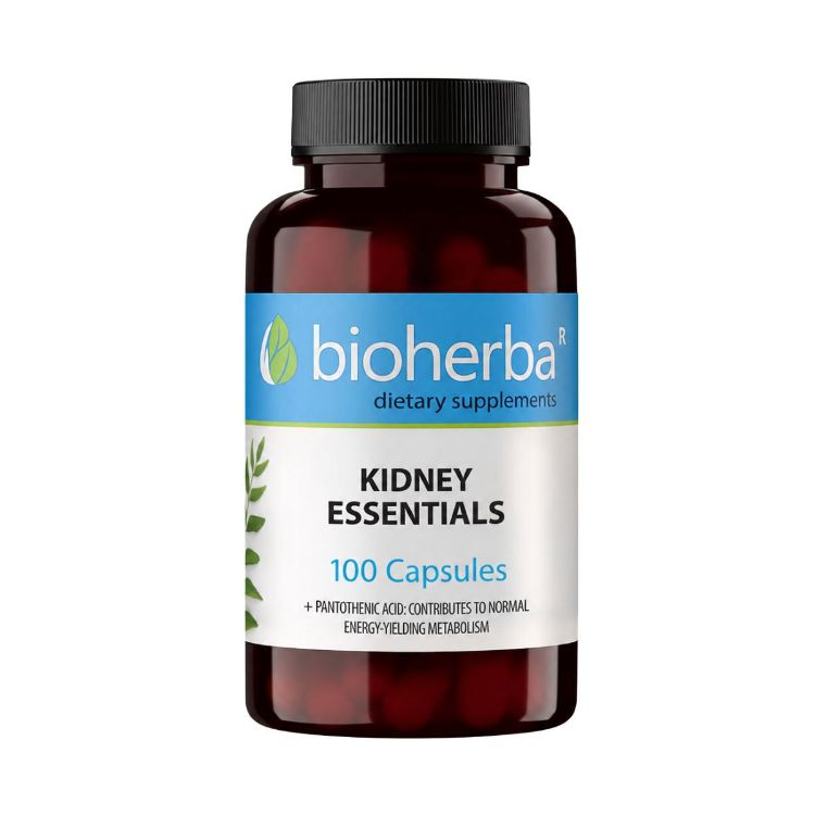 Obrázok z Kidney Essentials – 100 kapsúl – Bioherba