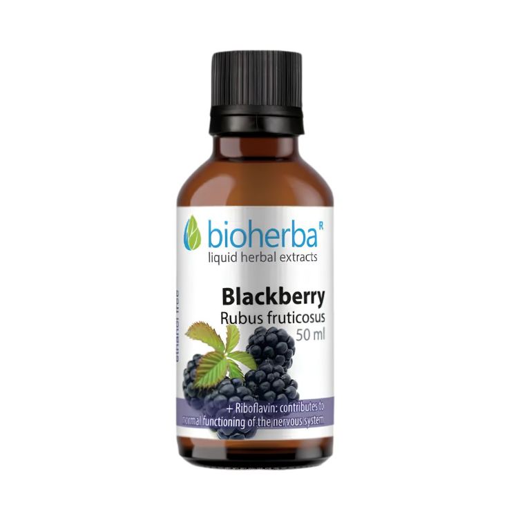Obrázok z Ostružina - tinktúra kvapky - 50 ml - Bioherba