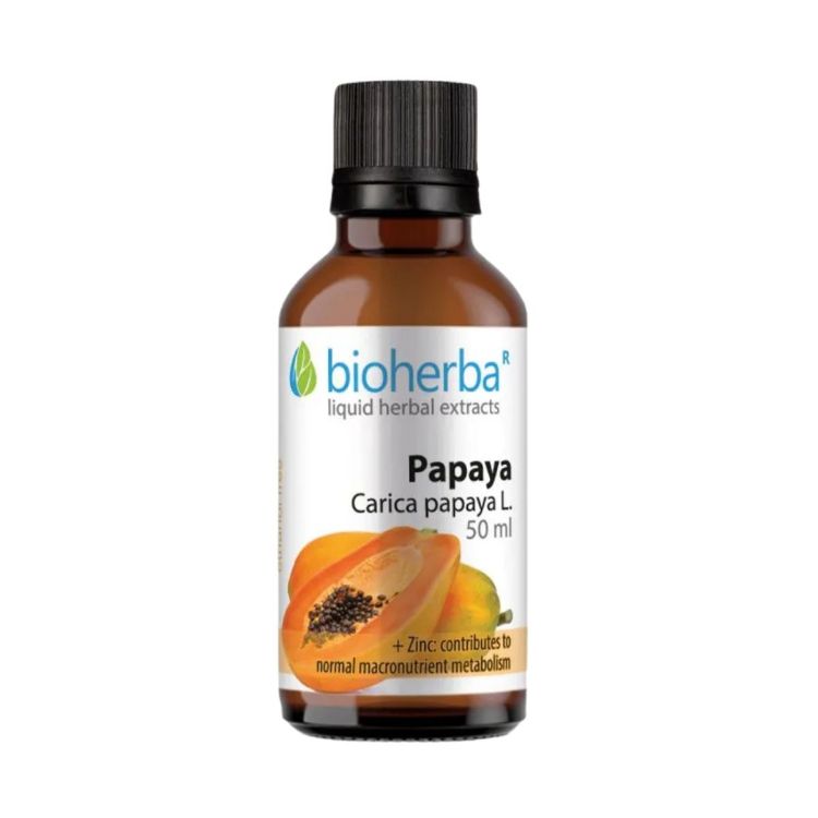 Obrázok z Papája - tinktúra kvapky - 50 ml - Bioherba