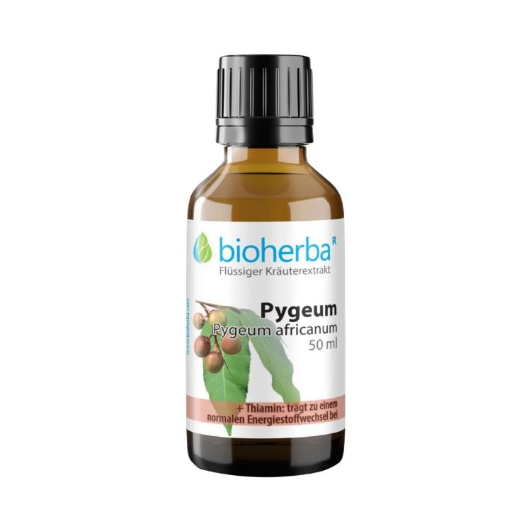 Obrázok z Pygeum (africká slivka) - tinktúra kvapky - 50 ml - Bioherba