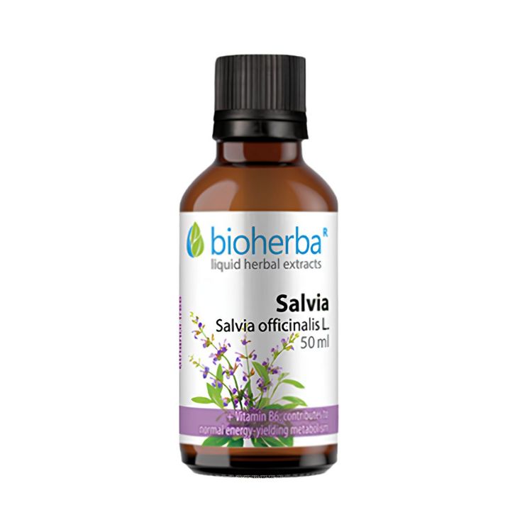 Obrázok z Šalvia - tinktúra kvapky - 50 ml - Bioherba