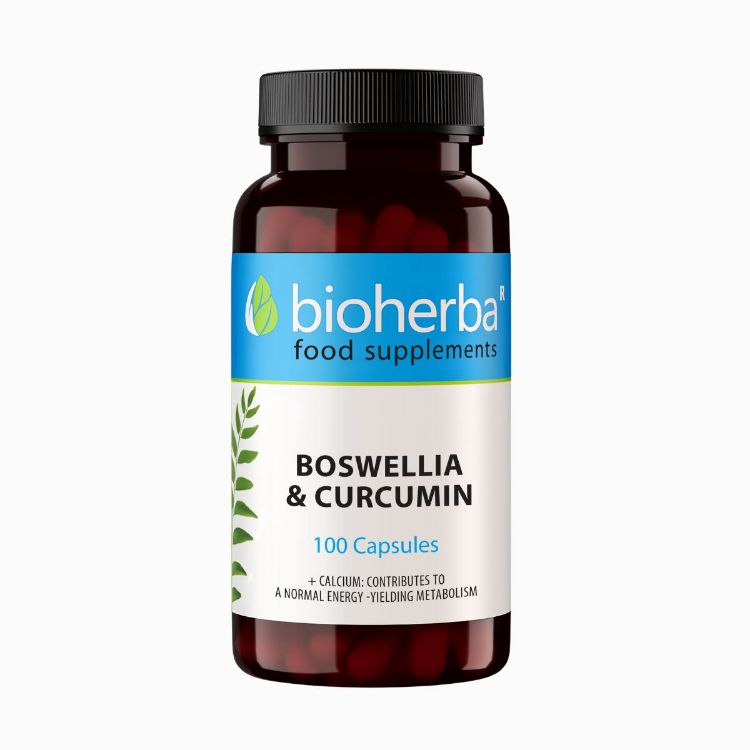 Obrázok z Boswellia & kurkumín – 100 kapsúl – Bioherba
