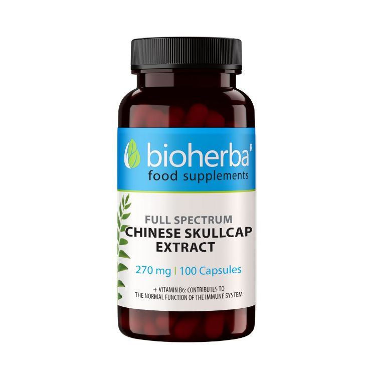 Obrázok z Šišiak bajkalský extrakt 270 mg – 100 kapsúl – Bioherba