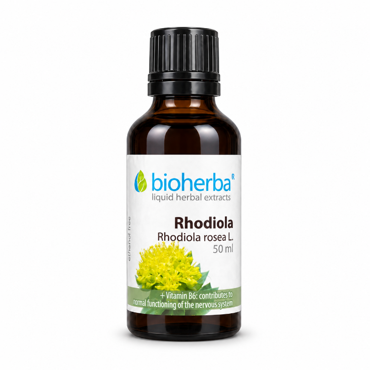 Obrázok z Rhodiola kvapky – tinktúra – 50 ml – Bioherba