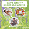 Obrázok z Šišiak bajkalský - tinktúra 100 ml - Herbatica