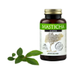 Obrázok z Masticha Terapia Masticha Active kapsule na trávenie - 100 tabliet Balenie: 100 tabliet