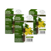 Obrázok z Zvýhodnený set: 3x Horský lastovičník "čistoteľ" - elixír na bradavice - 3 ml - Herbal Traditions