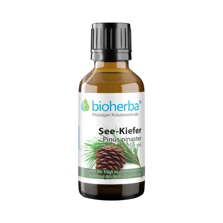 Obrázok z Borovica prímorská - tinktúra kvapky - 50 ml - Bioherba