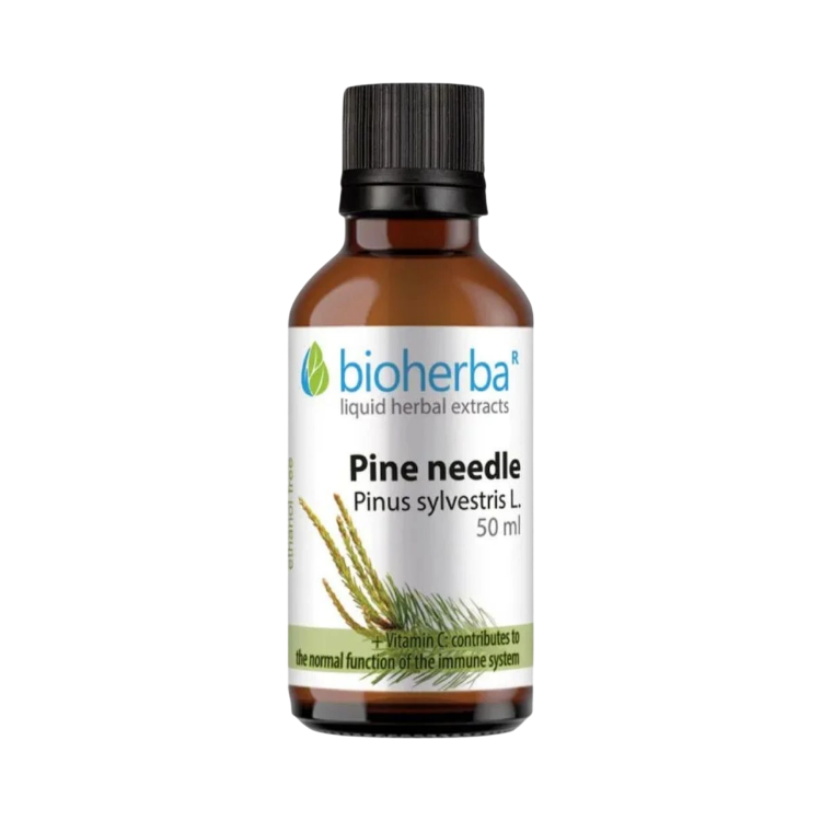 Obrázok z Borovicové výhonky - tinktúra kvapky - 50 ml - Bioherba