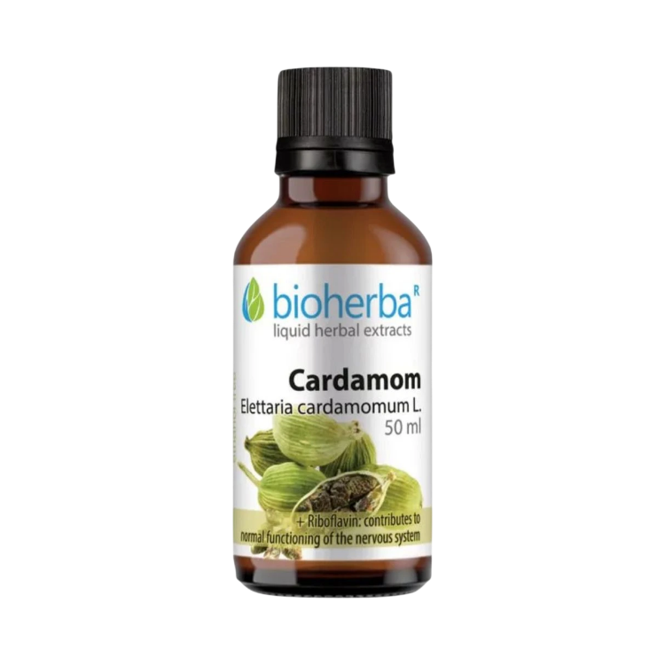 Obrázok z Kardamóm - tinktúra kvapky - 50 ml - Bioherba