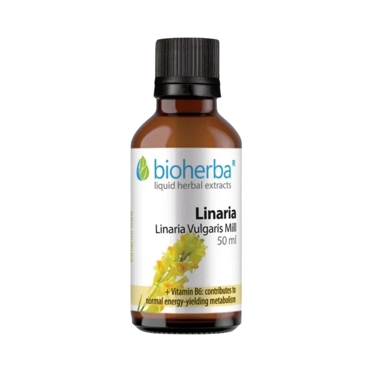 Obrázok z Ľanovník - tinktúra kvapky - 50 ml - Bioherba