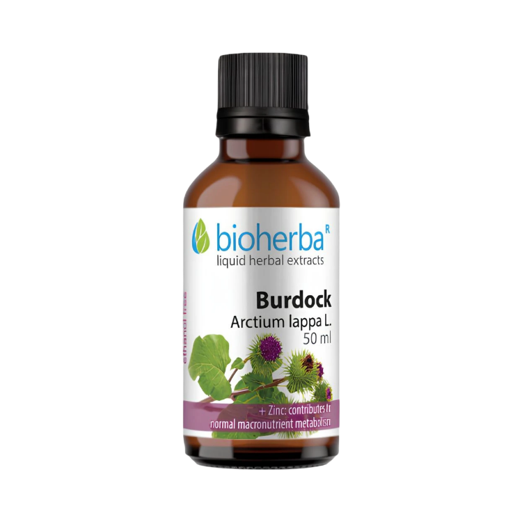 Obrázok z Lopúch väčší - tinktúra kvapky - 50 ml - Bioherba