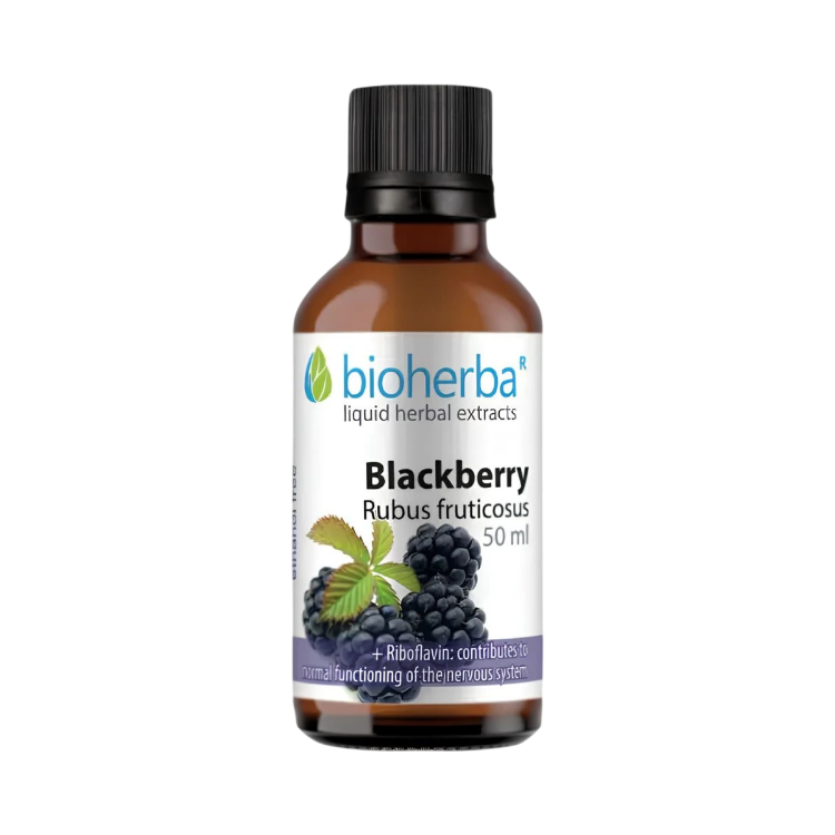 Obrázok z Ostružina - tinktúra kvapky - 50 ml - Bioherba