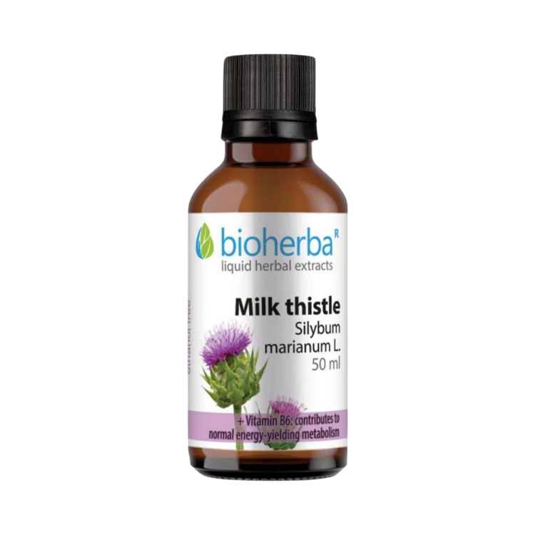 Obrázok z Pestrec mariánsky (Silybum marianum) kvapky – tinktúra – 50 ml – Bioherba