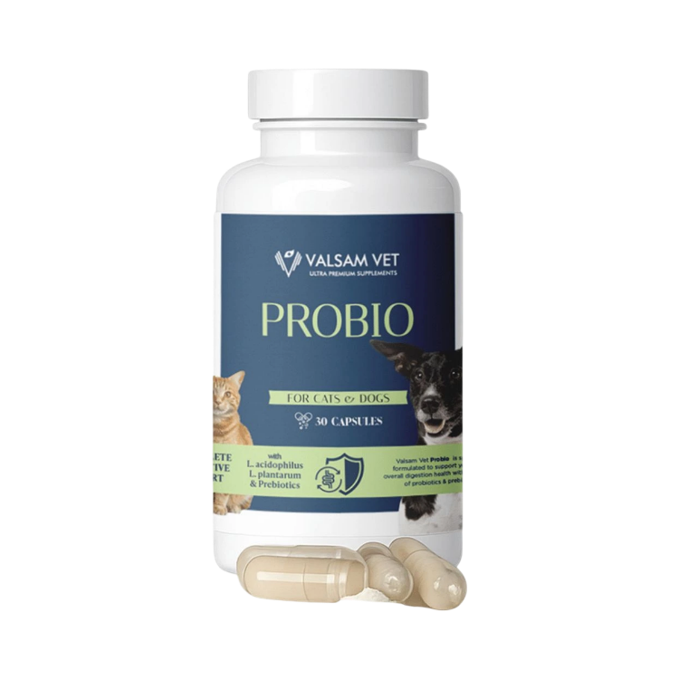 Obrázok z PROBIO - probiotiká a prebiotiká pre psy a mačky 30 kapsúl - Valsam Vet