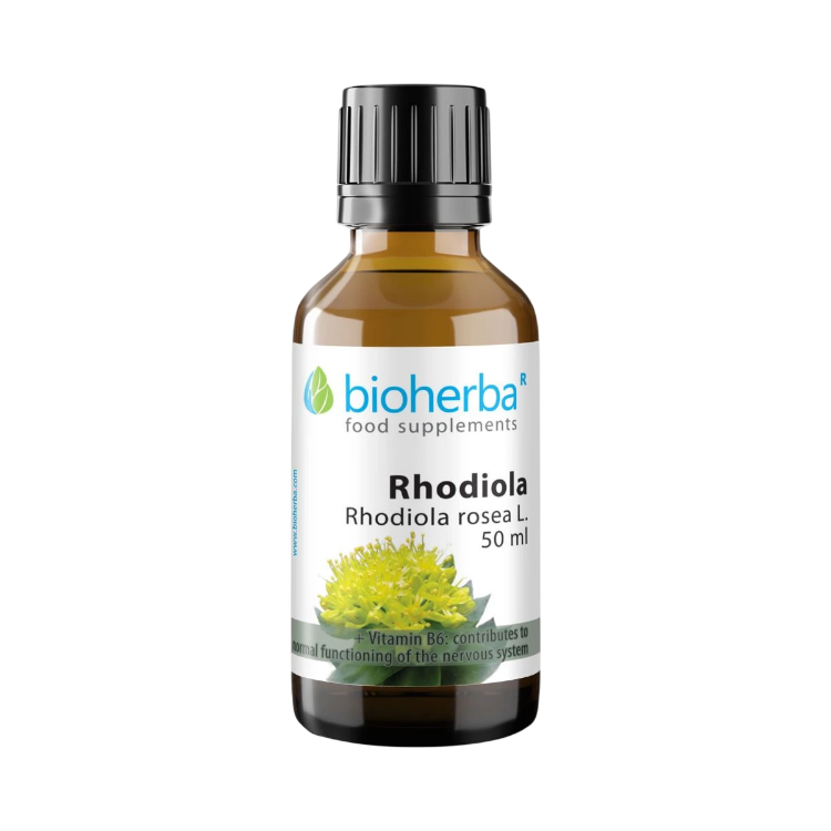 Obrázok z Rhodiola kvapky – tinktúra – 50 ml – Bioherba