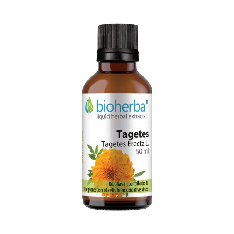 Obrázok z Aksamietnica kvapky – tinktúra – 50 ml – Bioherba