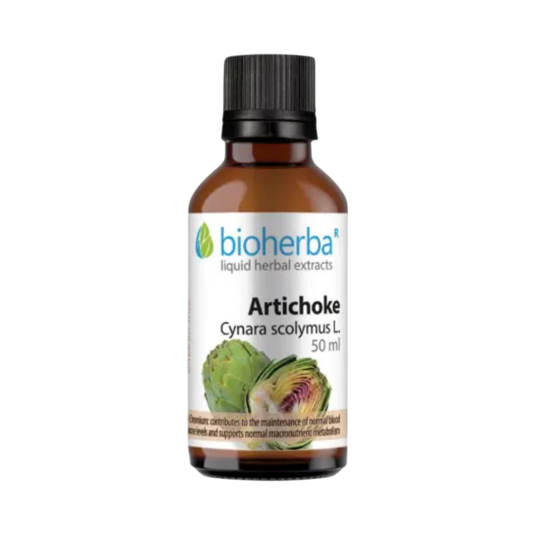 Obrázok z Artyčoka (Cynara scolymus L.) kvapky – tinktúra – 50 ml – Bioherba