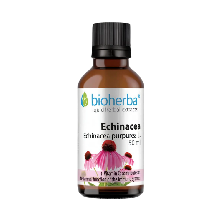 Obrázok z Echinacea kvapky – tinktúra – 50 ml – Bioherba