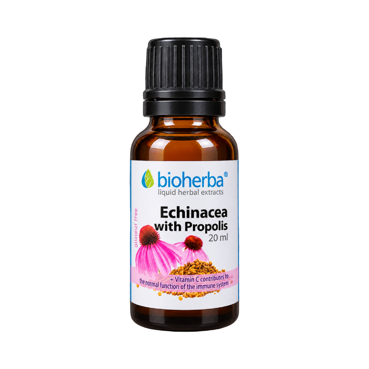 Obrázok z Echinacea s propolisom kvapky – tinktúra – 20 ml – Bioherba