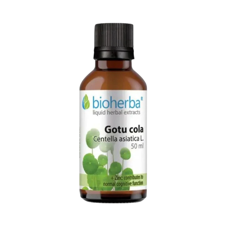 Obrázok z Gotu Kola kvapky – tinktúra – 50 ml – Bioherba