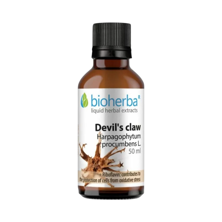 Obrázok z Diablov pazúr kvapky – tinktúra – 50 ml – Bioherba