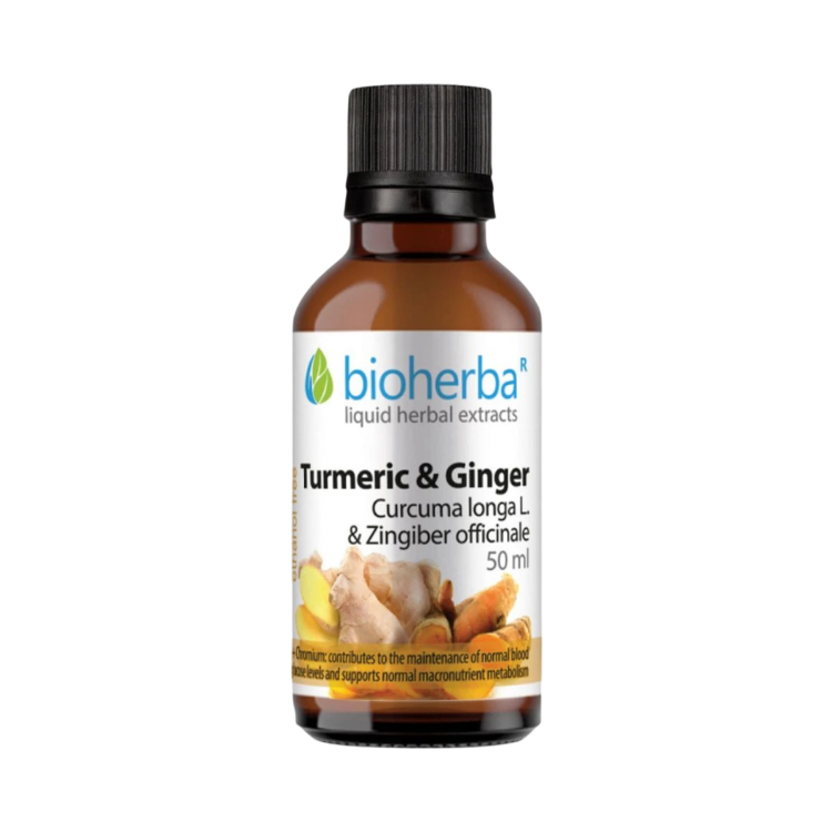 Obrázok z Kurkuma & zázvor kvapky – tinktúra – 50 ml – Bioherba
