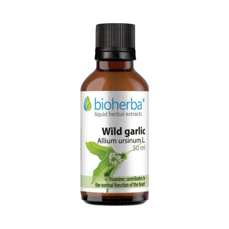 Obrázok z Medvedí cesnak kvapky – tinktúra – 50 ml – Bioherba